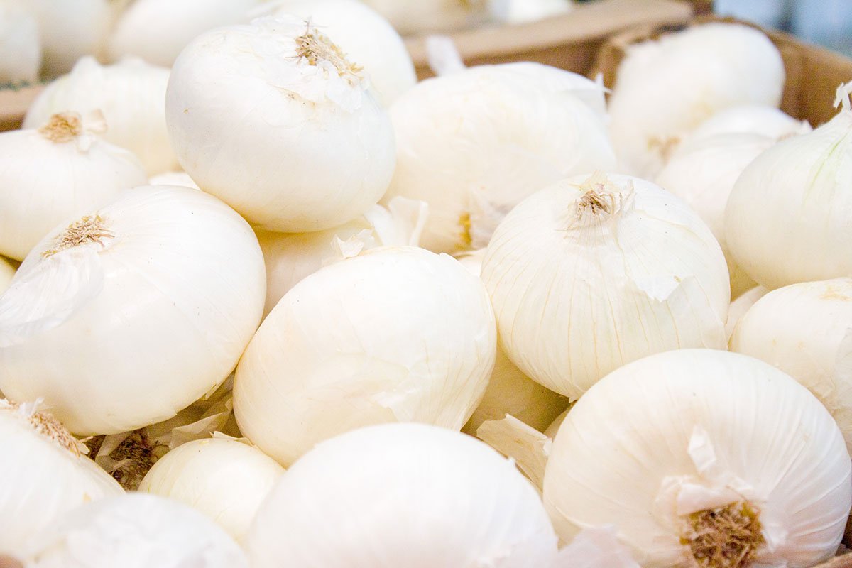 Real-Global-Export-About-2